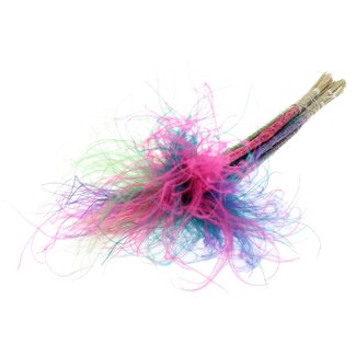 QC Gedroogd Stipa Vedergras “Kleurrijk 7” | Kleur: Gemengde Kleuren | Stypha Penata Droogbloemen | Lengte ± 60 centimeter | 10 pluimpjes per bos | Per bos