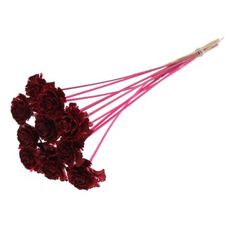 QC Cedar Rose on stem | Colour: Cherry-coloured | Pinecone pick | Length ± 50 centimeter | 10 picks per bunch