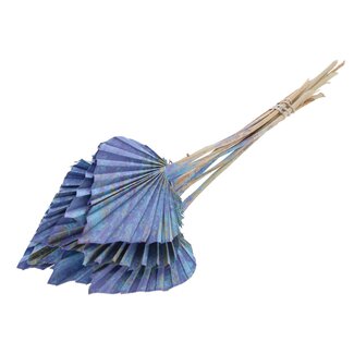 QC Gedroogde Palm Spear | Kleur: Meerkleurig Lichtblauw | Palmbladeren in Speervorm | Lengte ± 50 centimeter | 10 takken per bos | Per bos