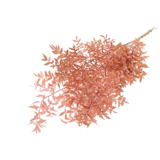 QC Gedroogde Ruscus | Kleur: Lichtroze | Ruscus Droogbloemen | Lengte ± 70 centimeter | 10 takken per bos | Per bos