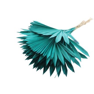 QC Gedroogde Palm Sun Spear | Kleur: Turquoise | Palmbladeren in Waaiervorm | Lengte ± 50 centimeter | 10 takken per bos | Per bos