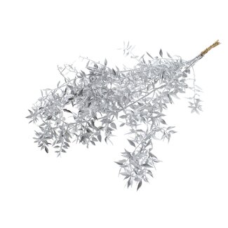 QC Gedroogde Ruscus | Kleur: Zilverkleurig | Ruscus Droogbloemen | Lengte ± 70 centimeter | 10 takken per bos | Per bos
