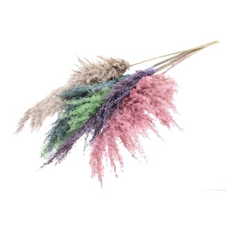 QC Gedroogde Pampas Pluimen “Kleurrijk 1” | Kleur: Gemengde Kleuren | Pampas Droogbloemen | Lengte ± 100 centimeter | 5 pluimen per bos | Per bos