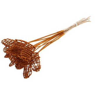 QC Rotan Lata Hart op stok | Kleur: Terracotta | Lata Heart platte Bijsteker | Lengte ± 50 centimeter | 10 bijstekers per bos