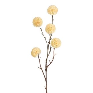 4A Kunstbloem Pompom | Kleur: Crème | Lengte 100 centimeter | Per 12 takken