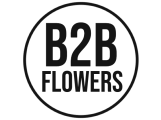 Großhandel Trockenblumen, Großhandel künstlichen Seidenblumen, Großhandel Floristikartikeln