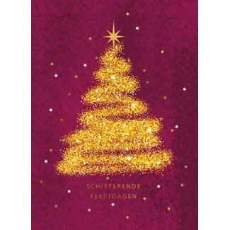 Schitterende Feestdagen