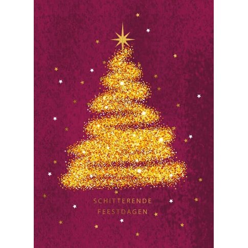 Schitterende Feestdagen