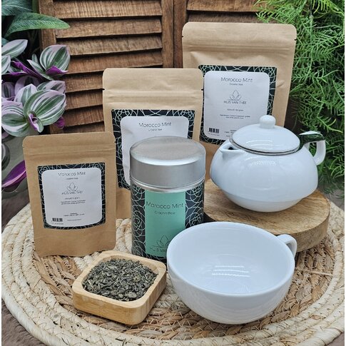 Morocco Mint
