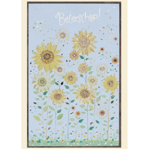 Beterschap Zonnebloem