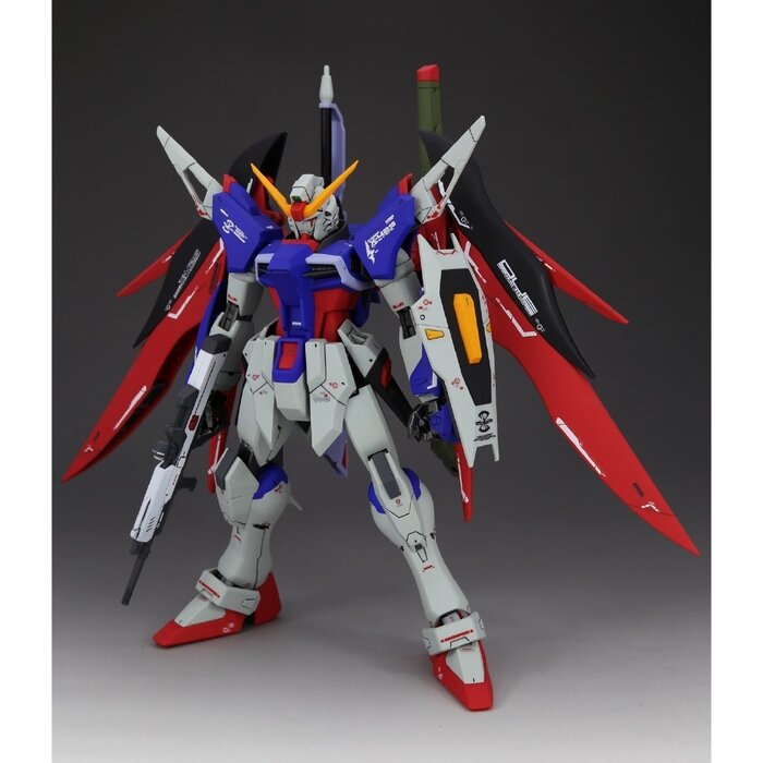 Bandai Gundam MG Destiny Gundam Scale 1:100 Model Kit