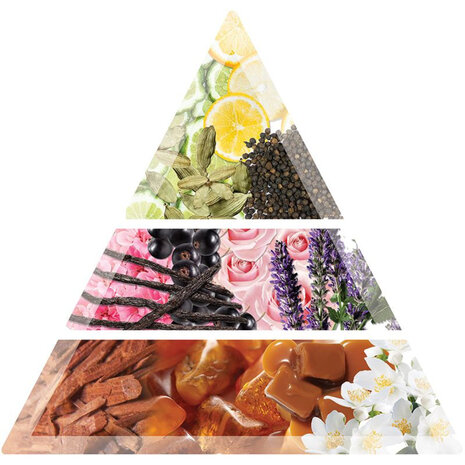 Balmain Cardamom 1974 Hair Perfume - 100ml Balmain Cardamom 1974 Hair Perfume - 100ml