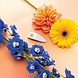 Balmain Limited Edition Printemps Leather Snap Hair Clip Balmain Limited Edition Printemps Leather Snap Hair Clip