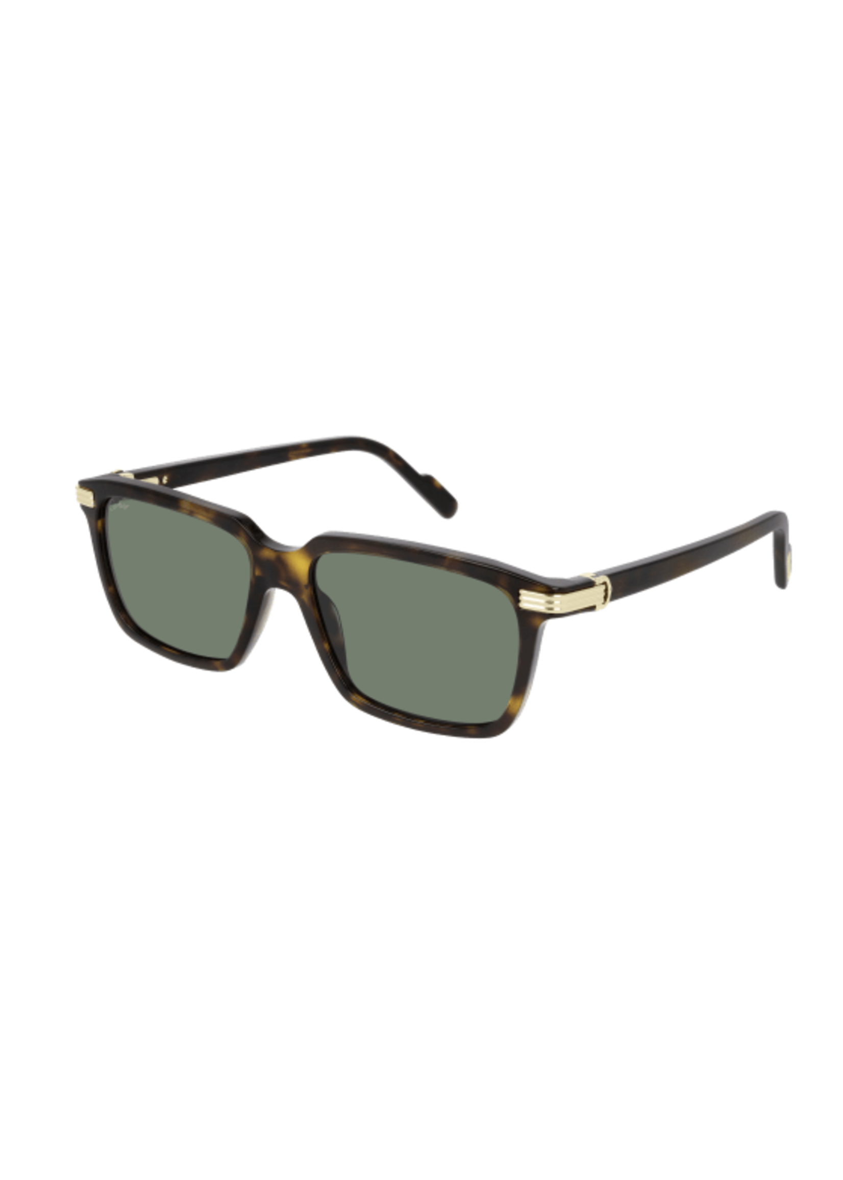 Cartier Cartier CT0220S