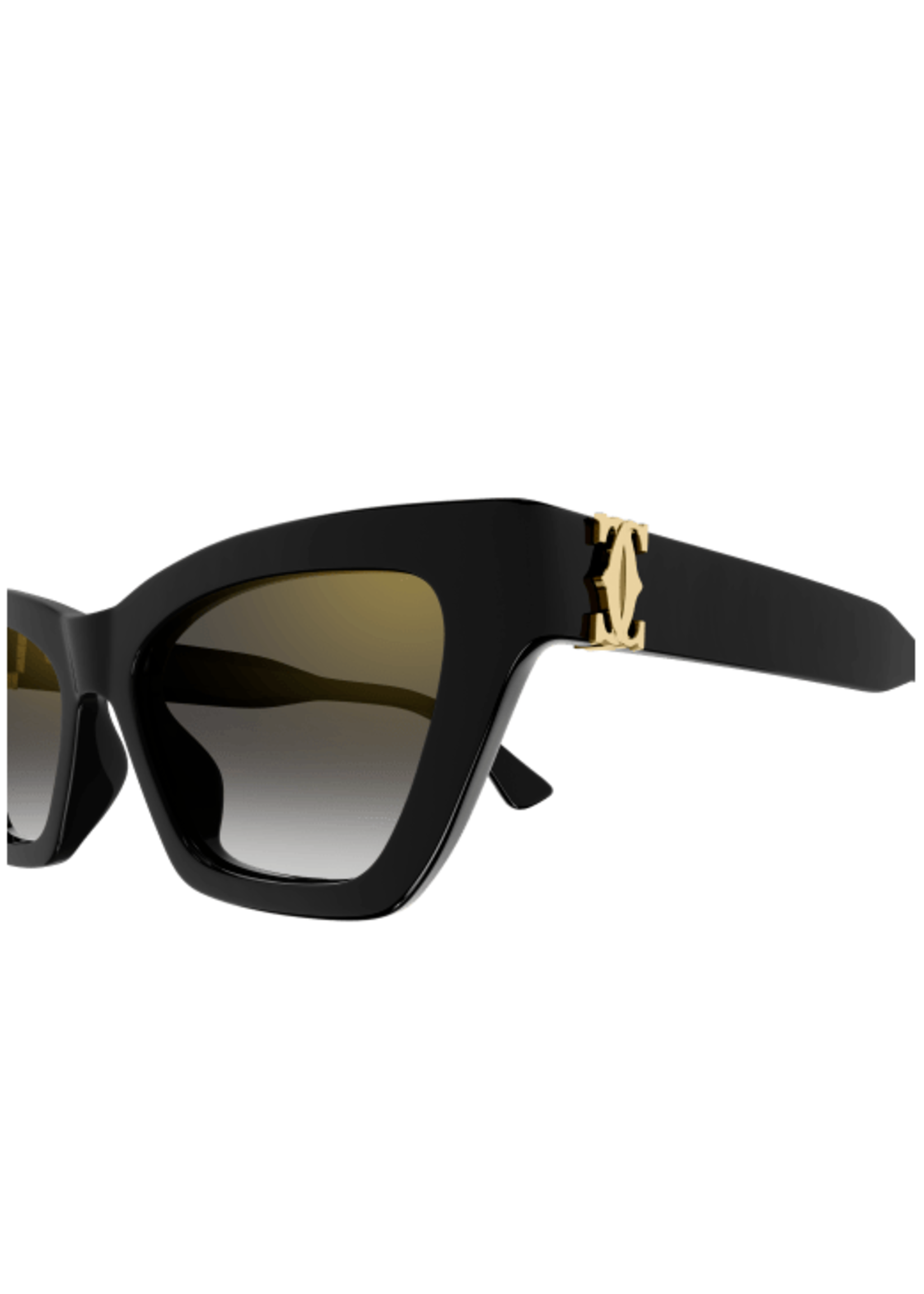 Cartier Cartier CT0437S