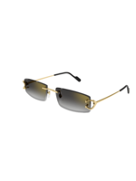 Cartier Cartier CT0465S