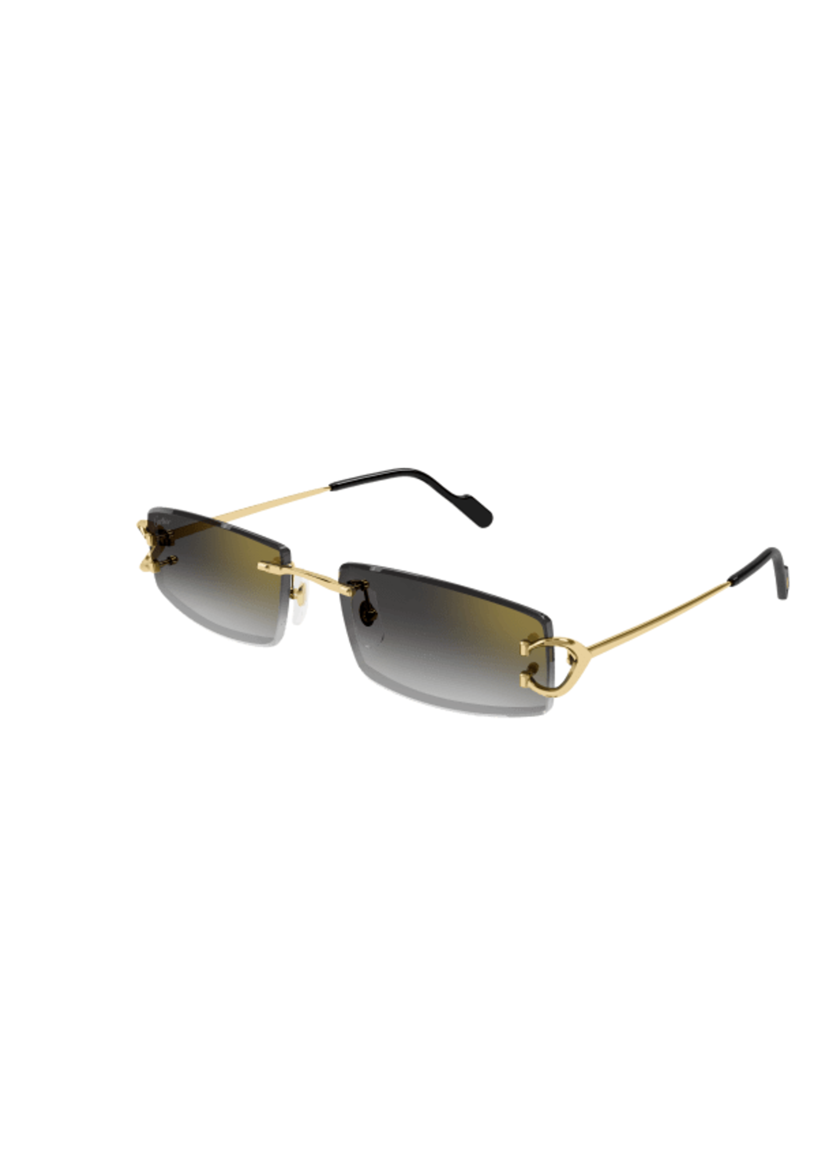 Cartier CT0465S
