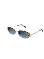 Cartier Cartier CT0467S