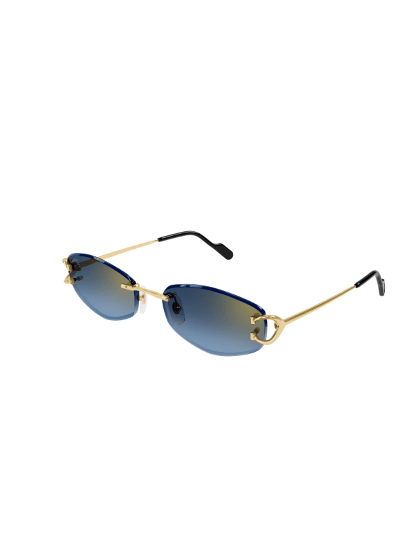 Cartier CT0467S
