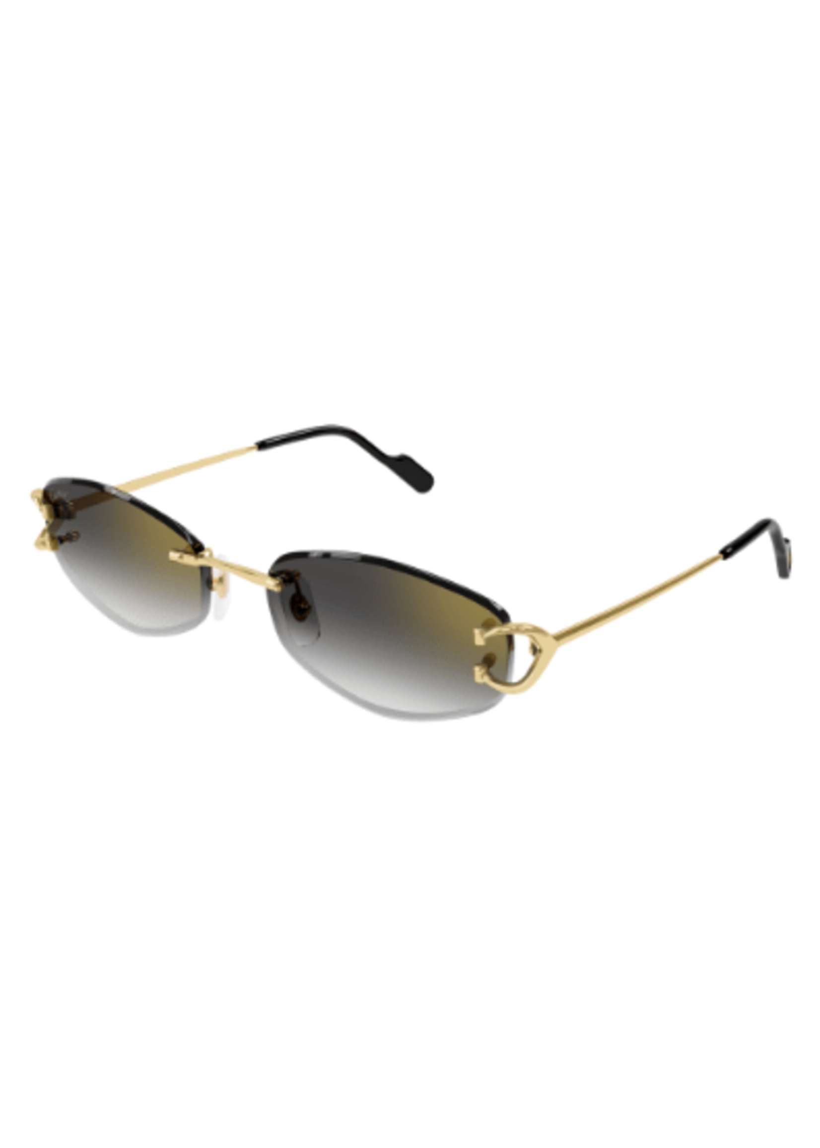 Cartier Cartier CT0467S