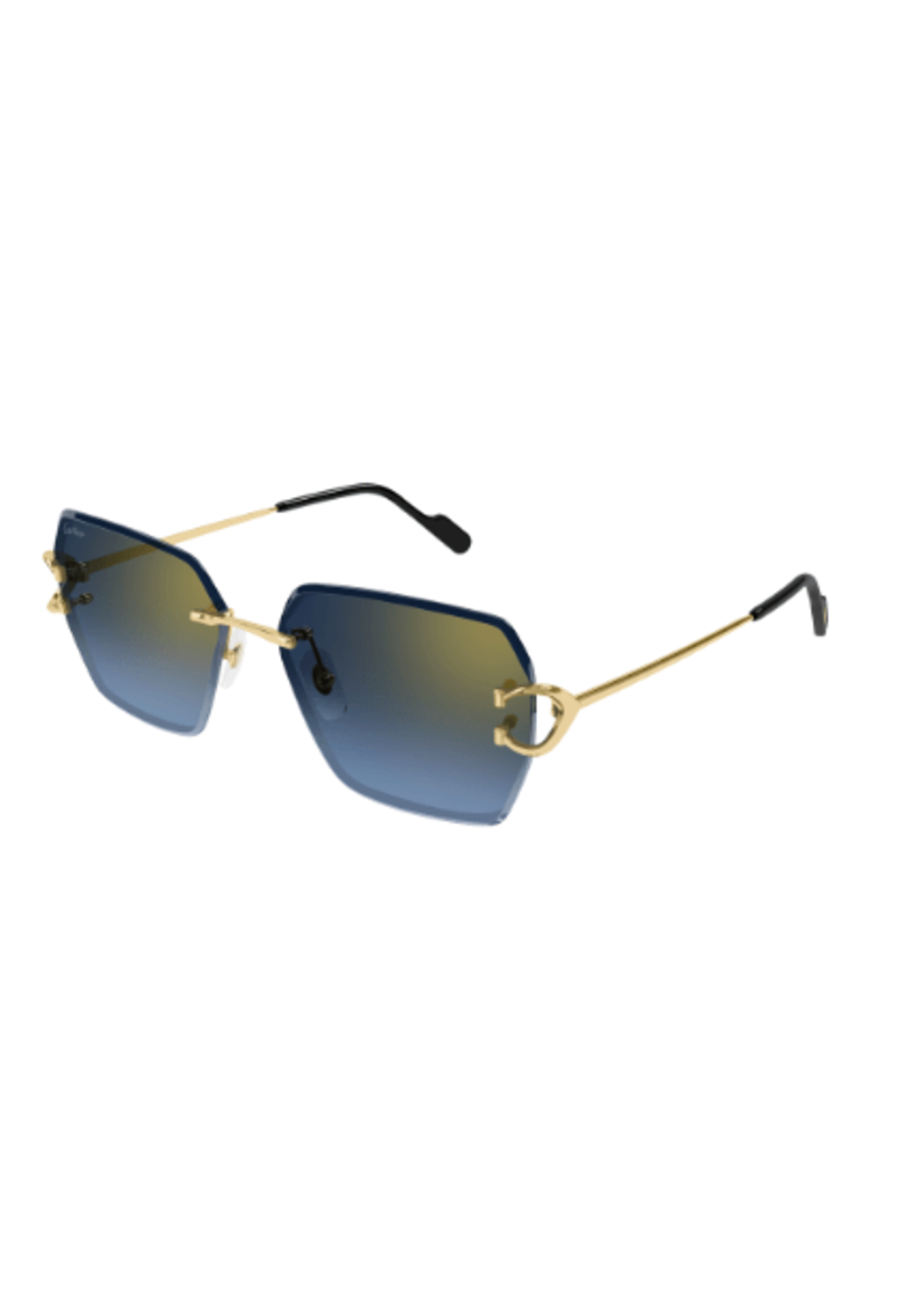 Cartier Cartier CT0466S