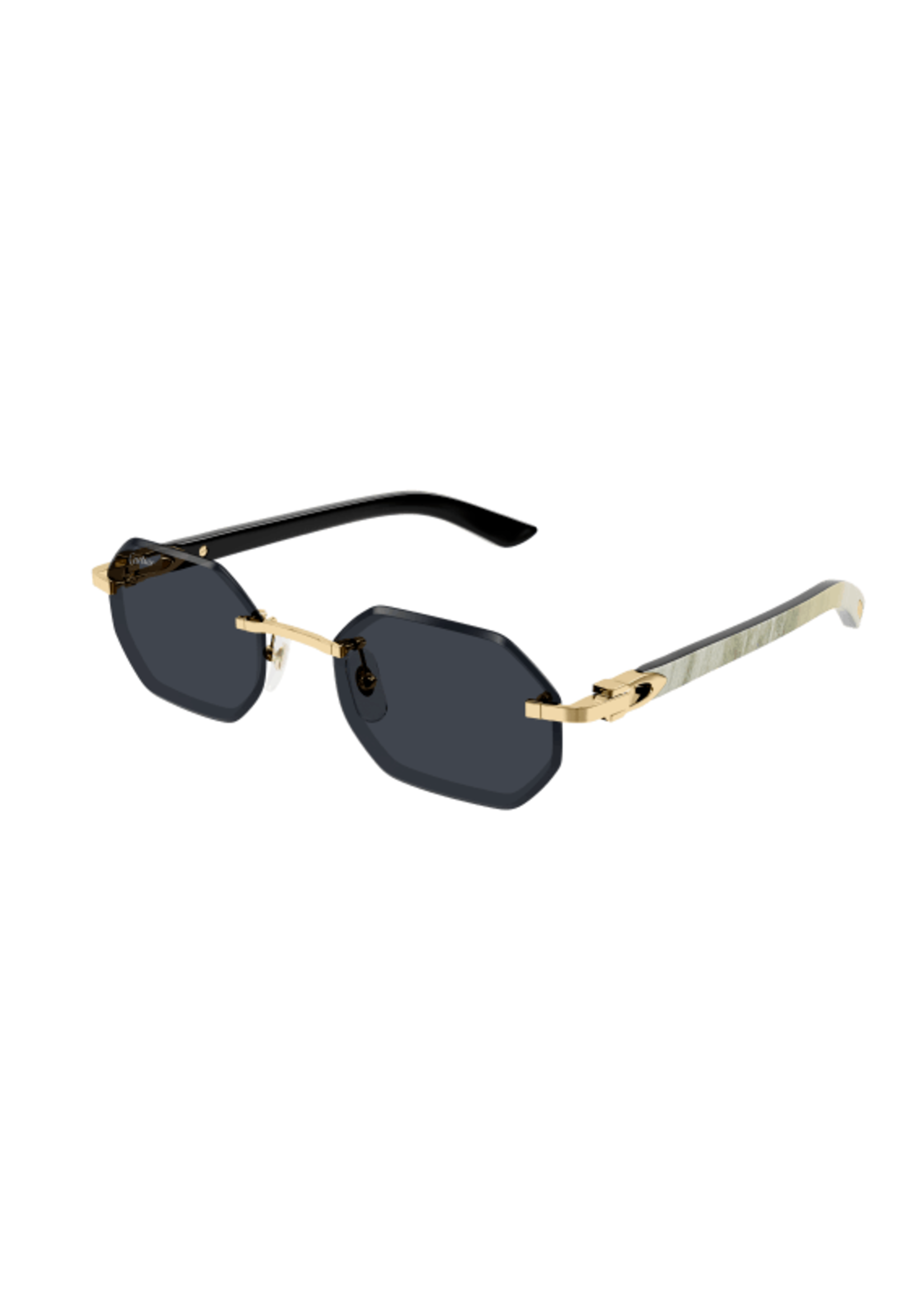 Cartier Cartier CT0439S
