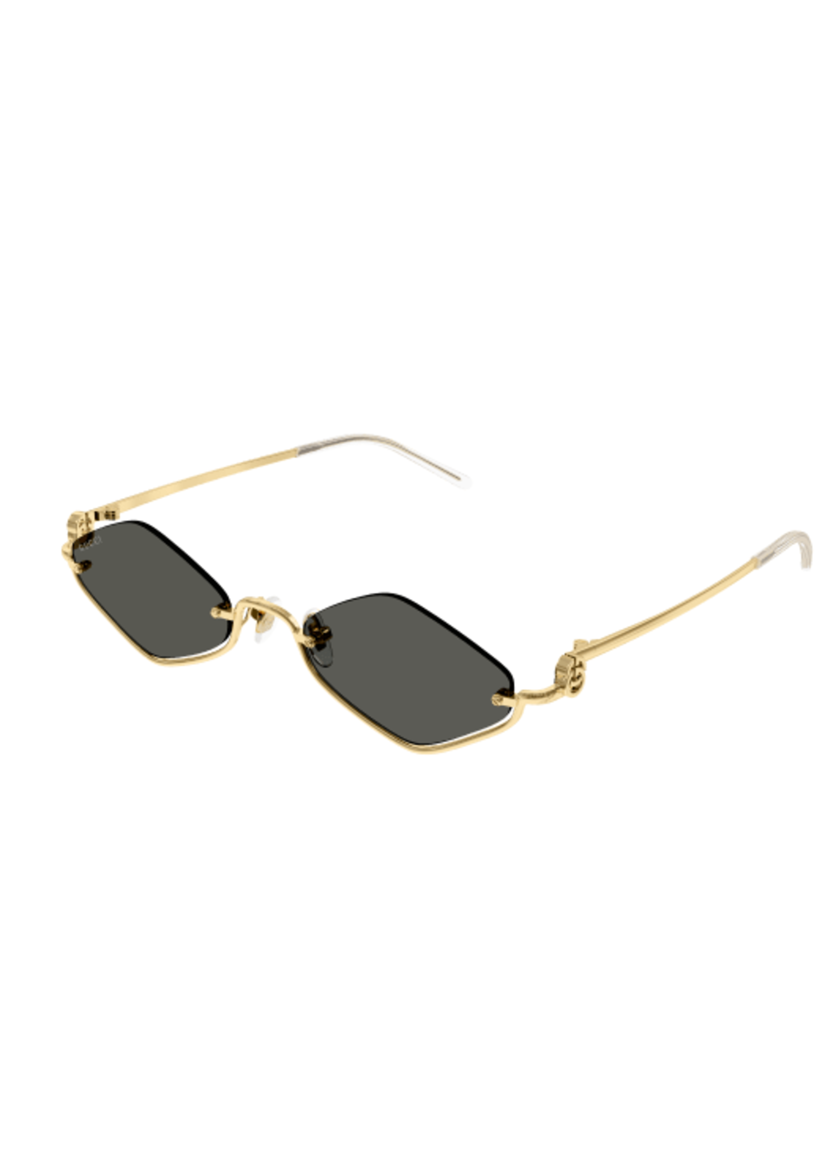Gucci Gucci GG1604S