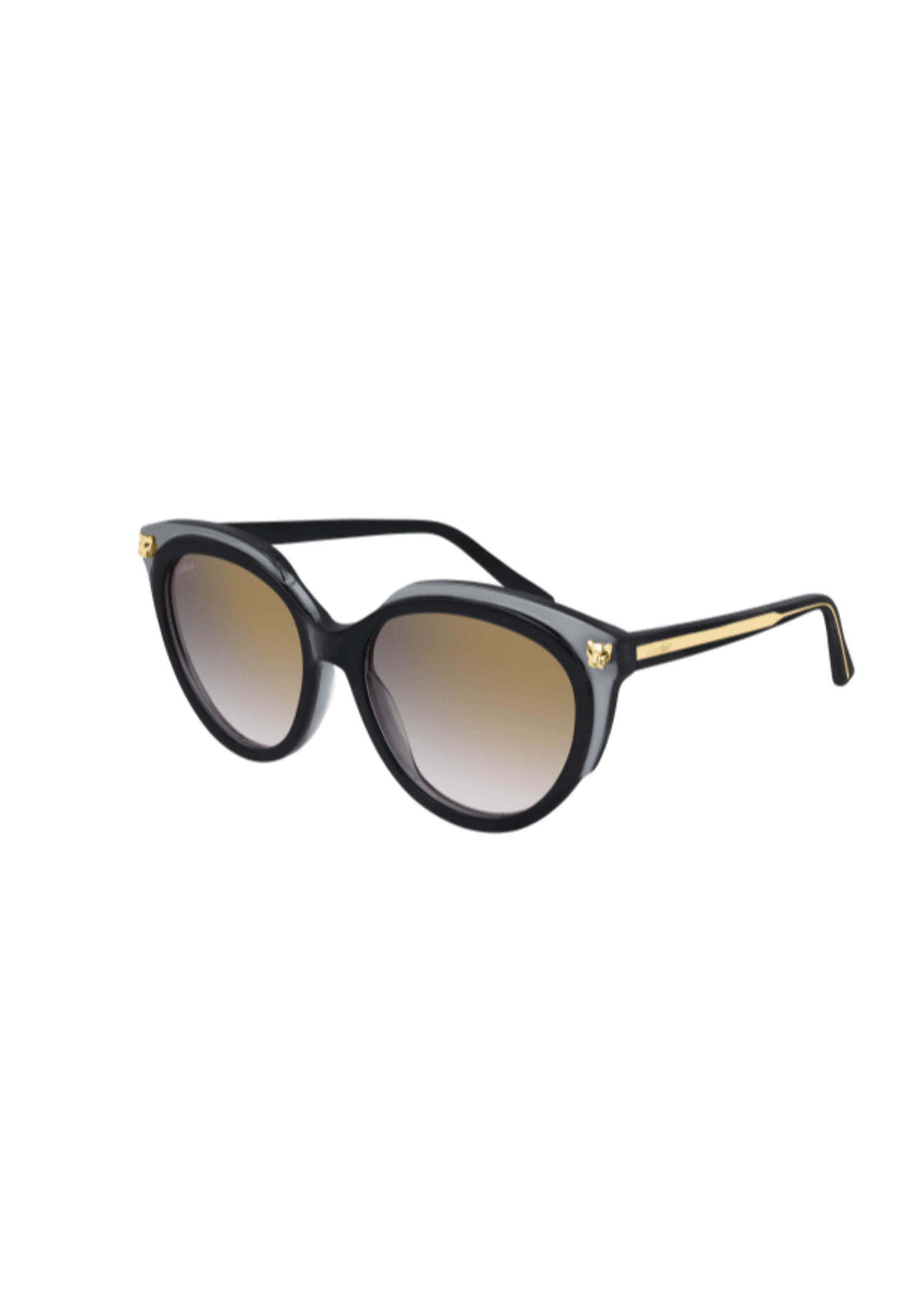Cartier Cartier CT0197S