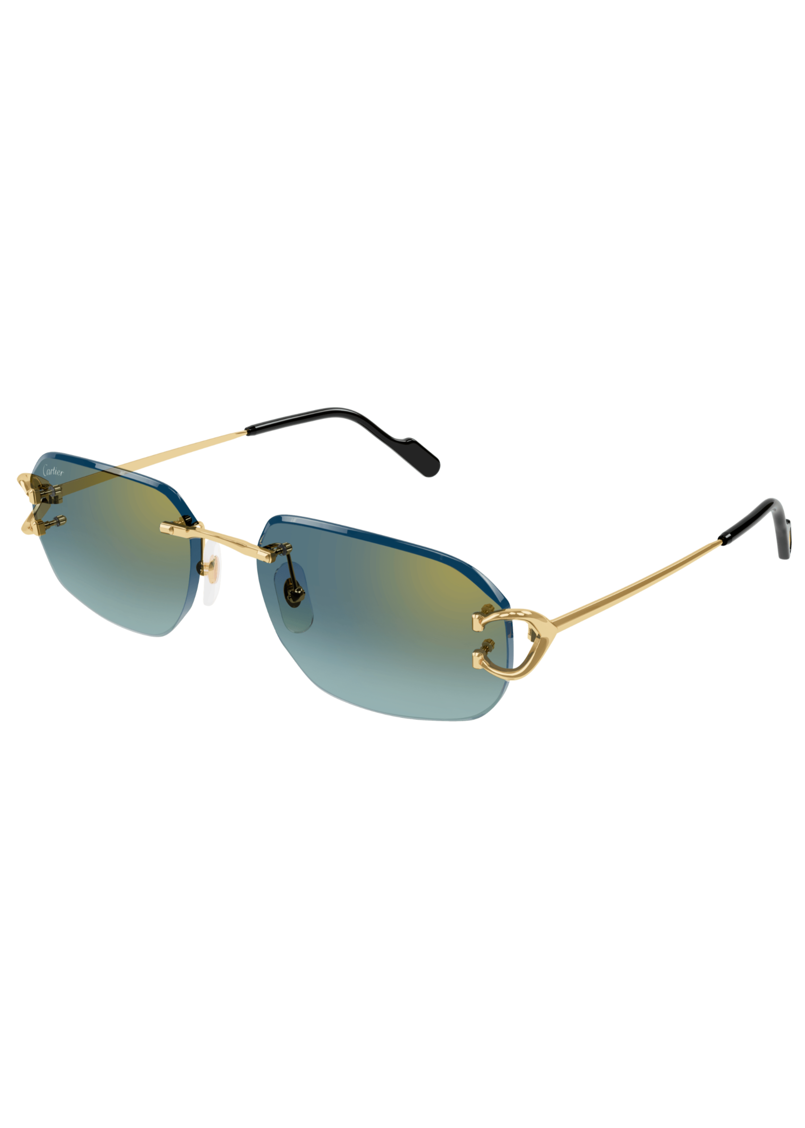 Cartier Cartier CT0468S