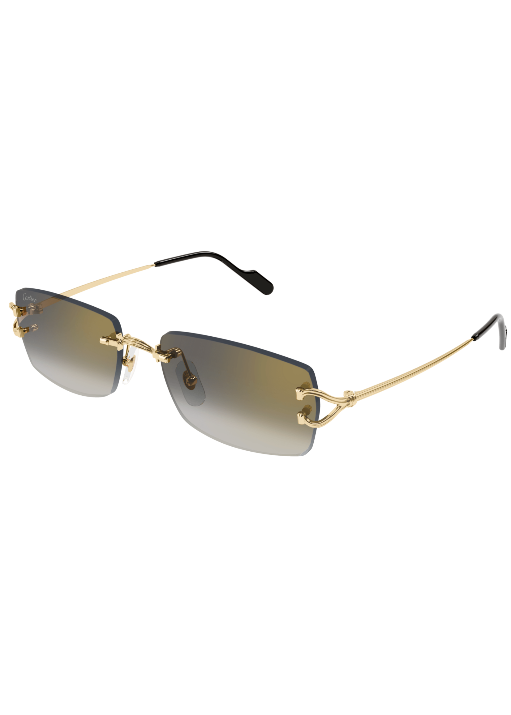 Cartier Cartier CT0550S