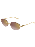 Cartier Cartier CT0504S