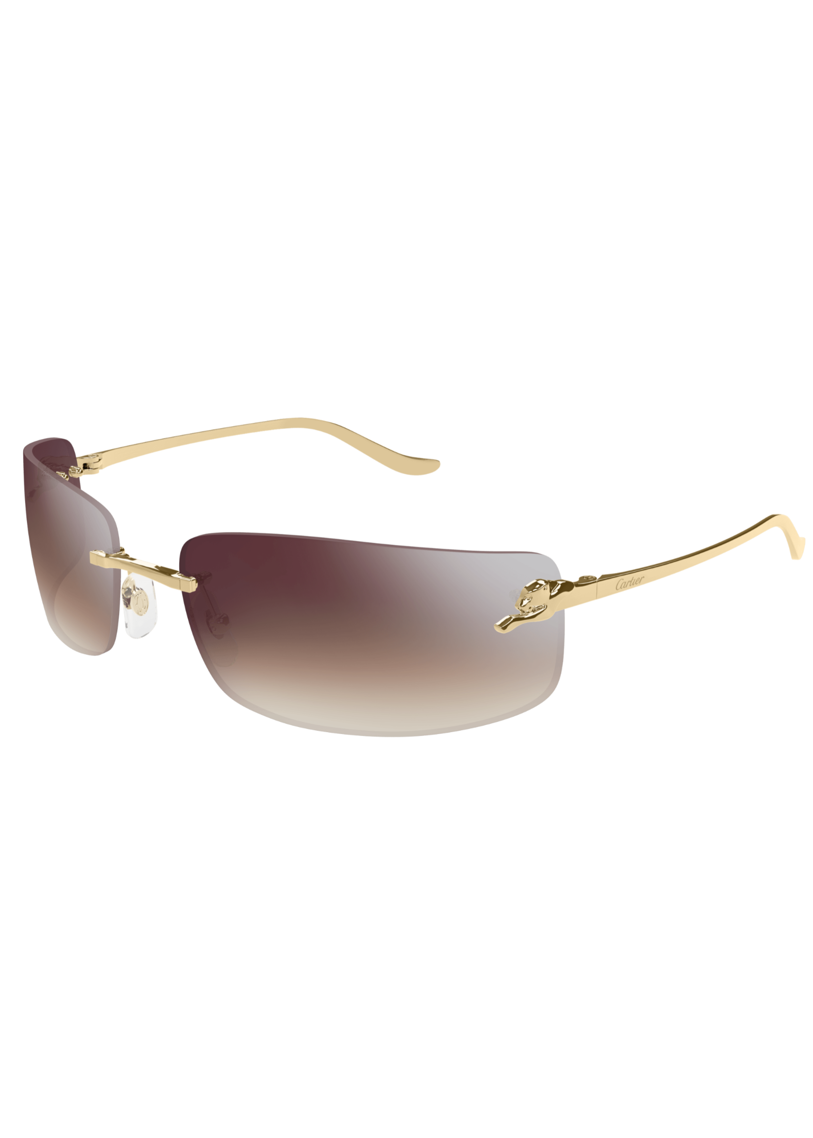 Cartier Cartier CT0503S
