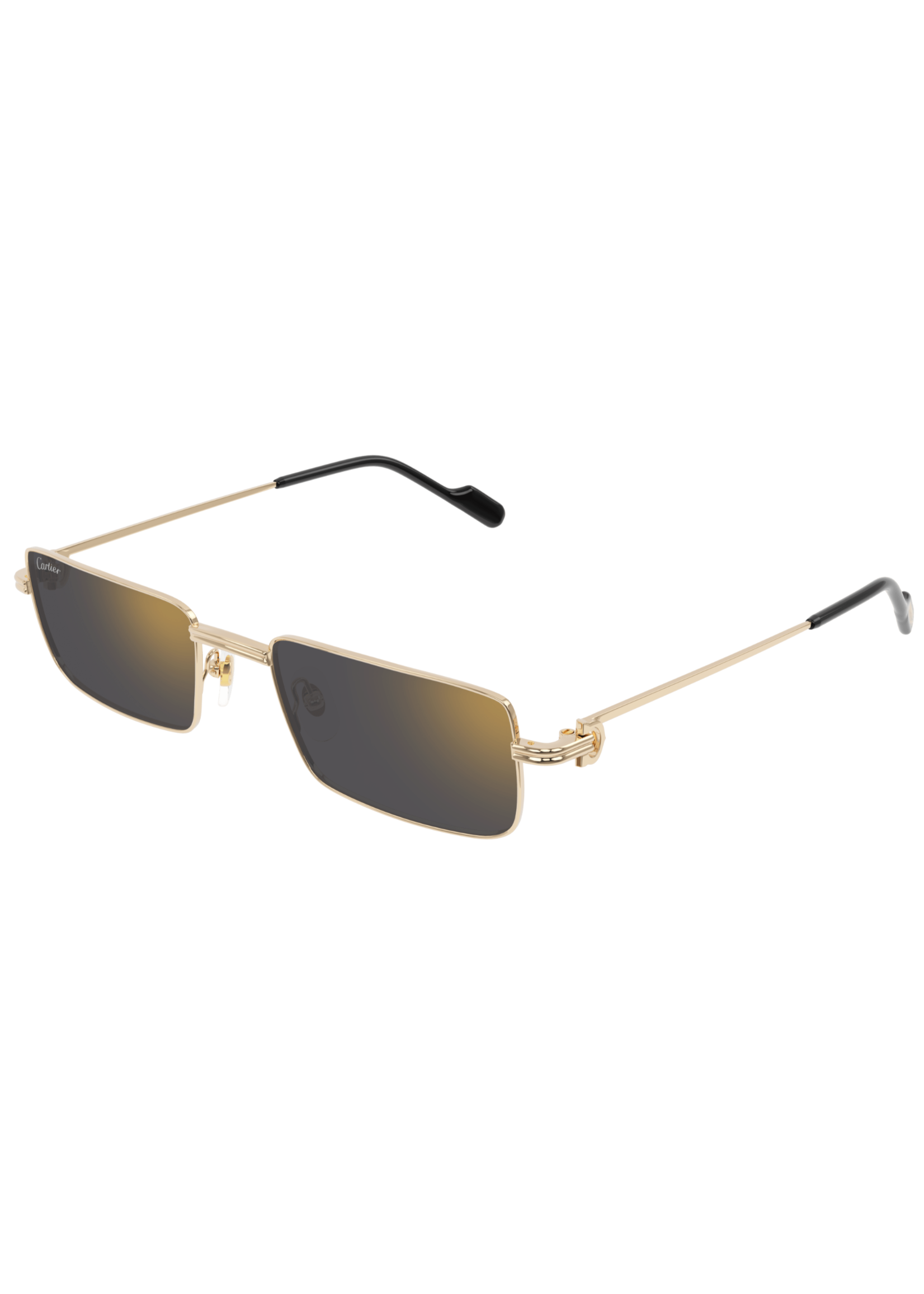 Cartier Cartier CT0501S