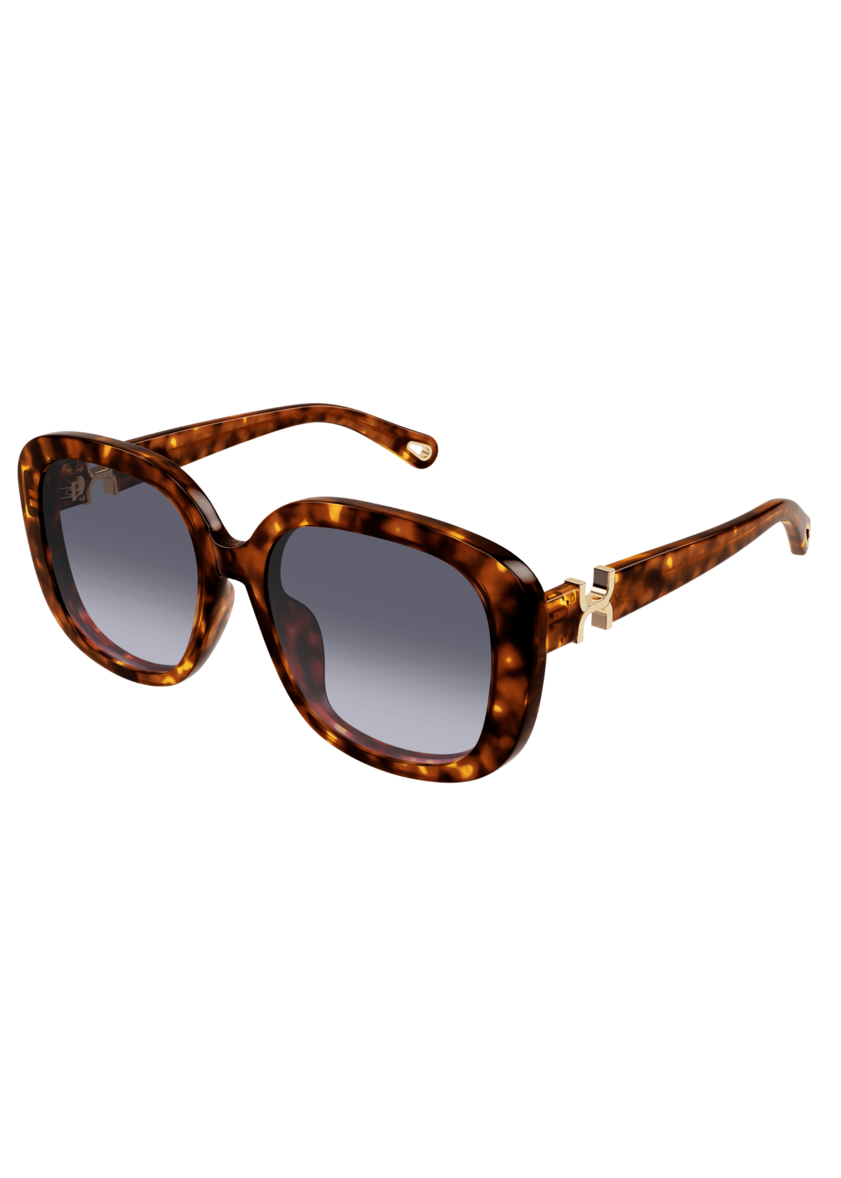 Chloé Chloé CH0303SK