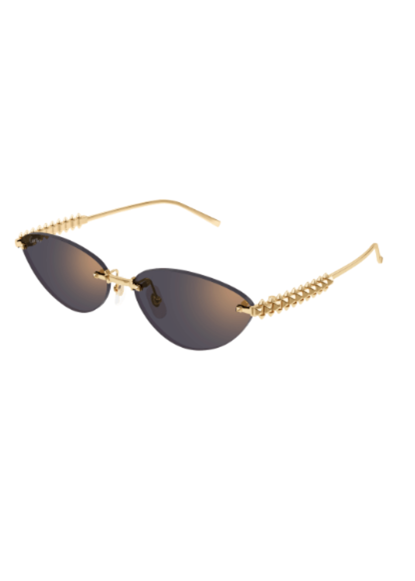 Cartier CT0543S
