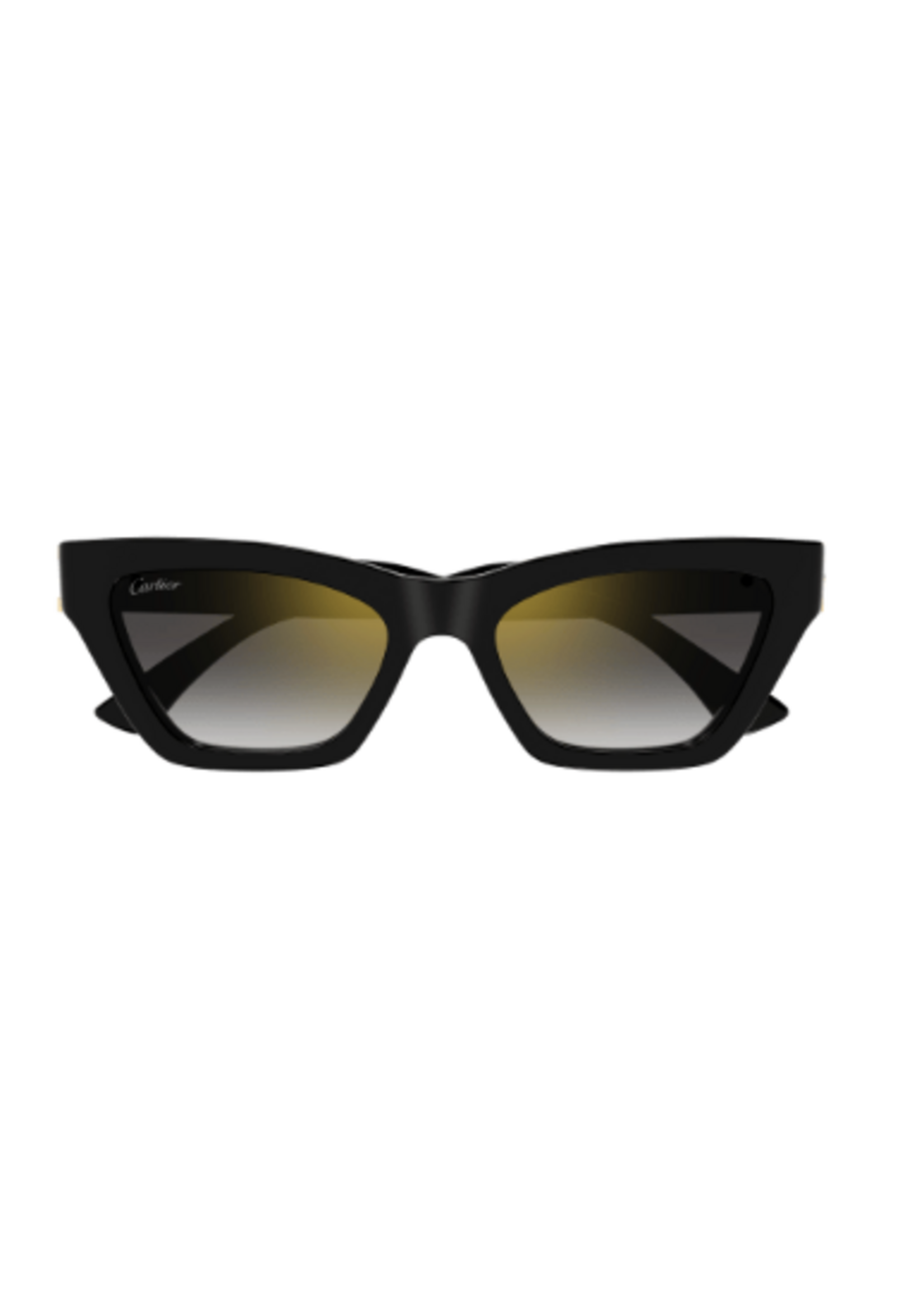 Cartier CT0437S