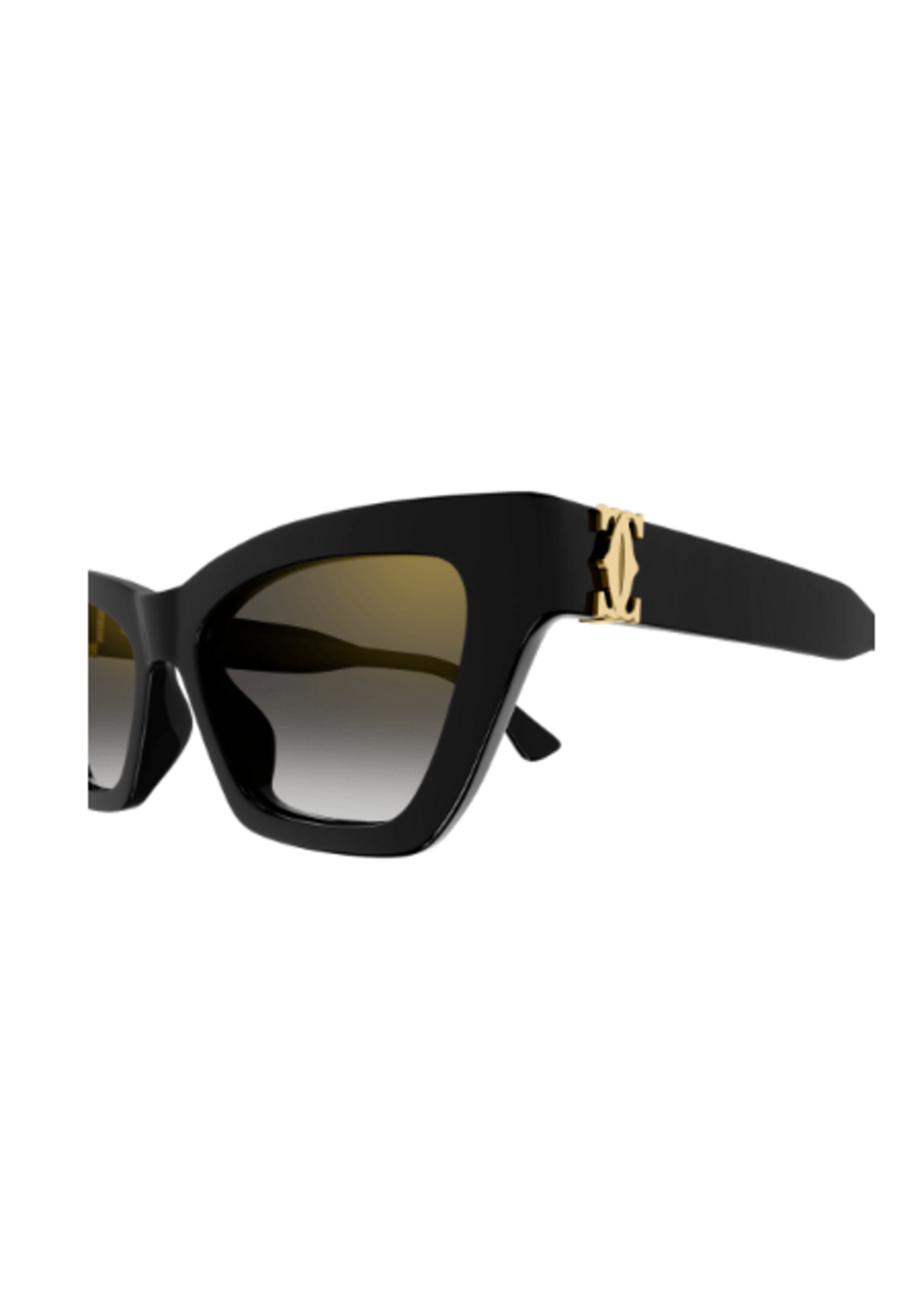 Cartier Cartier CT0437S