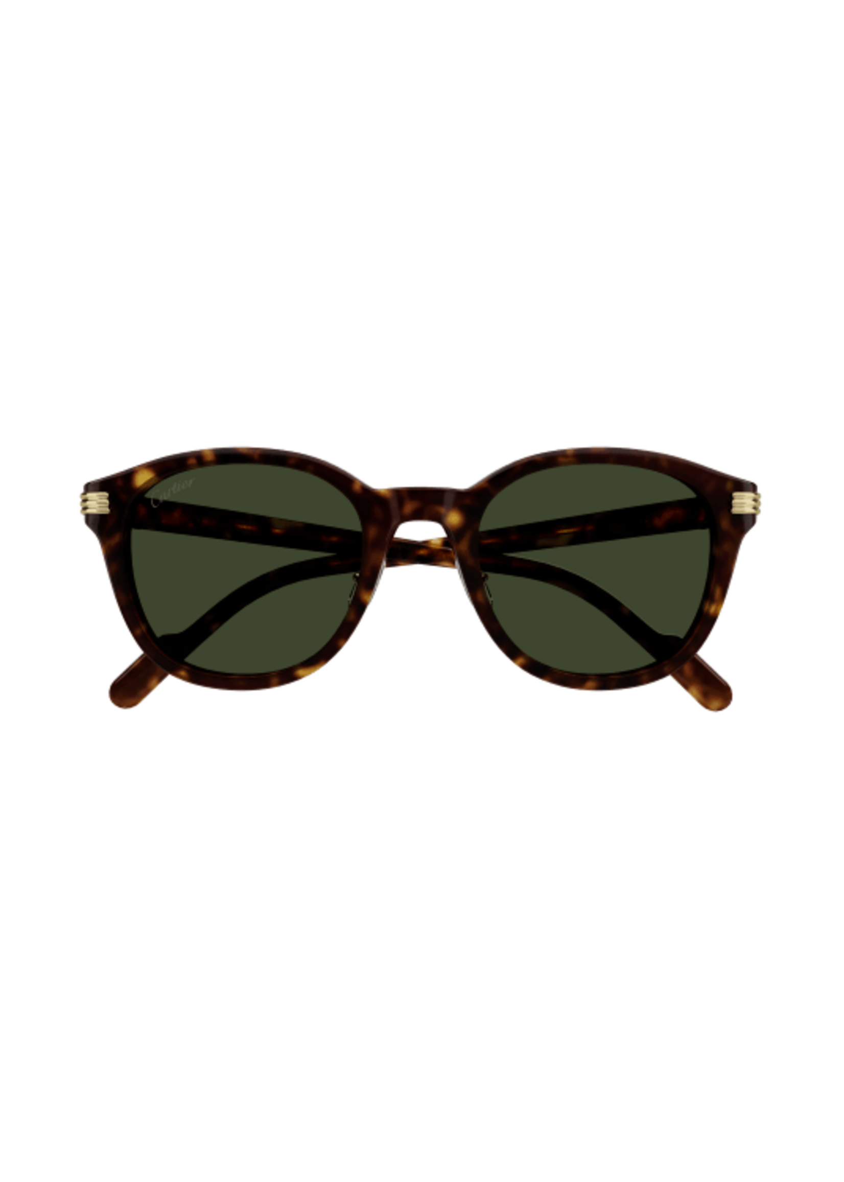 Cartier CT0302S