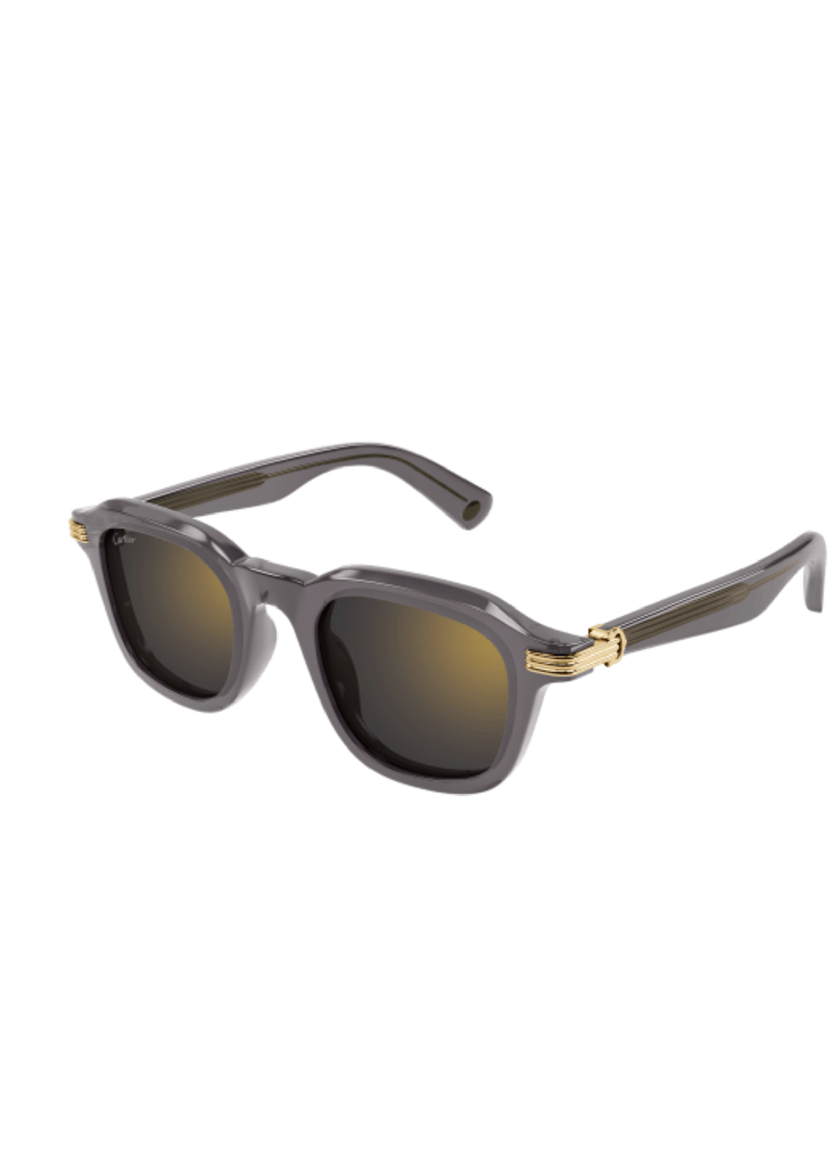 Cartier Cartier CT0536S