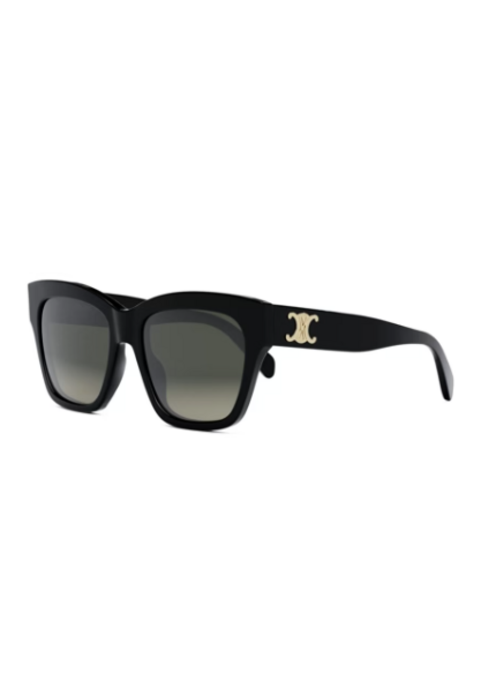 Celine Celine CL40253I