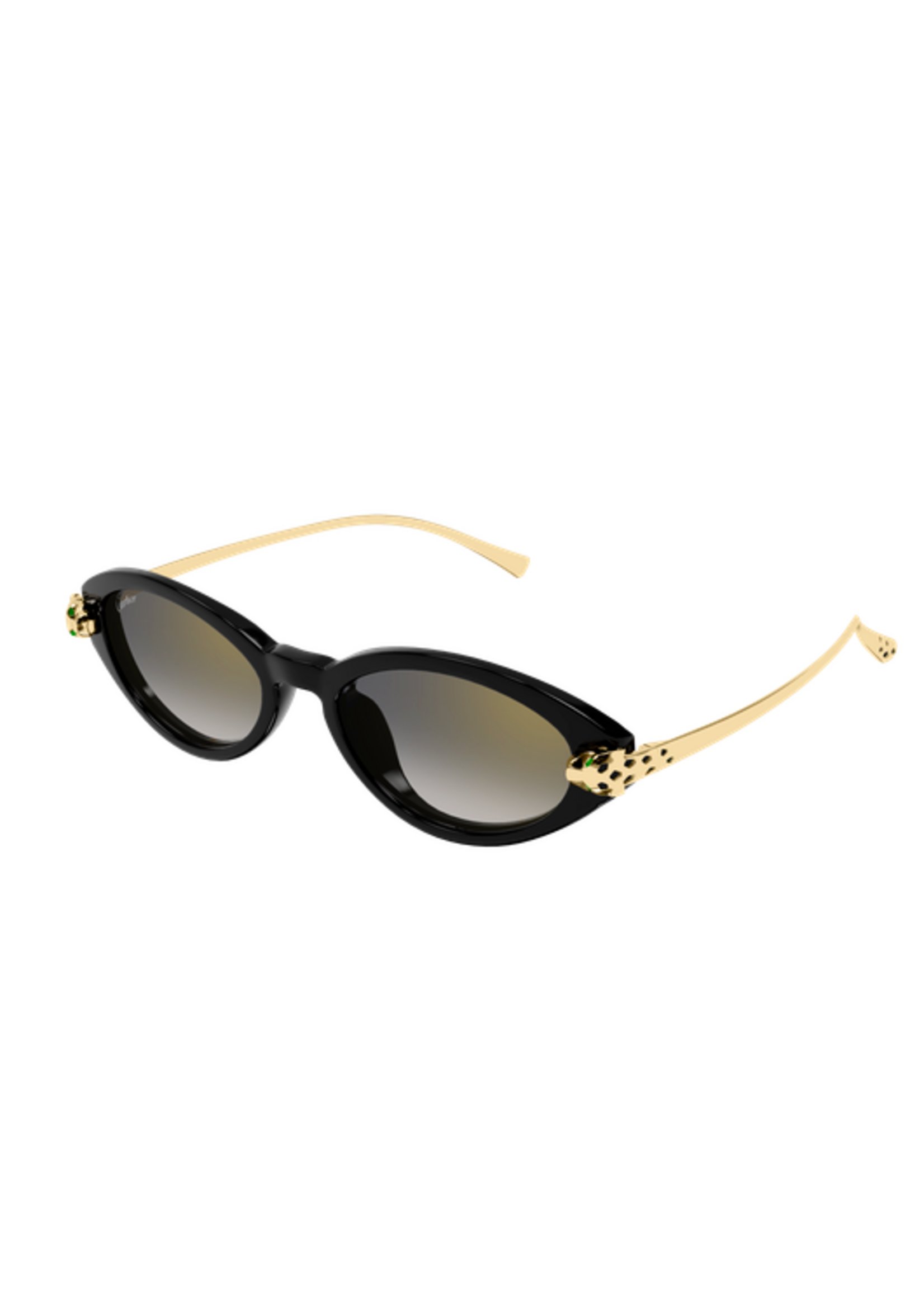 Cartier Cartier CT0634S