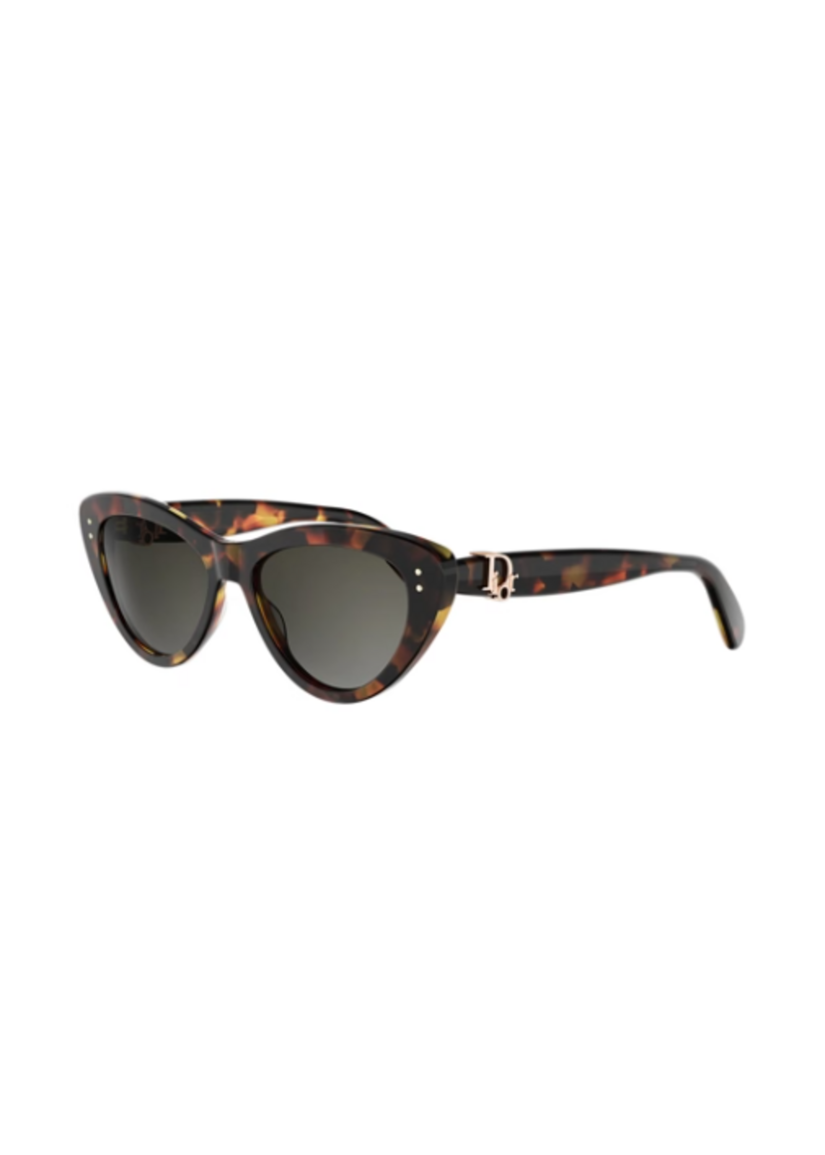 Dior Dior Dior Oblique B2I