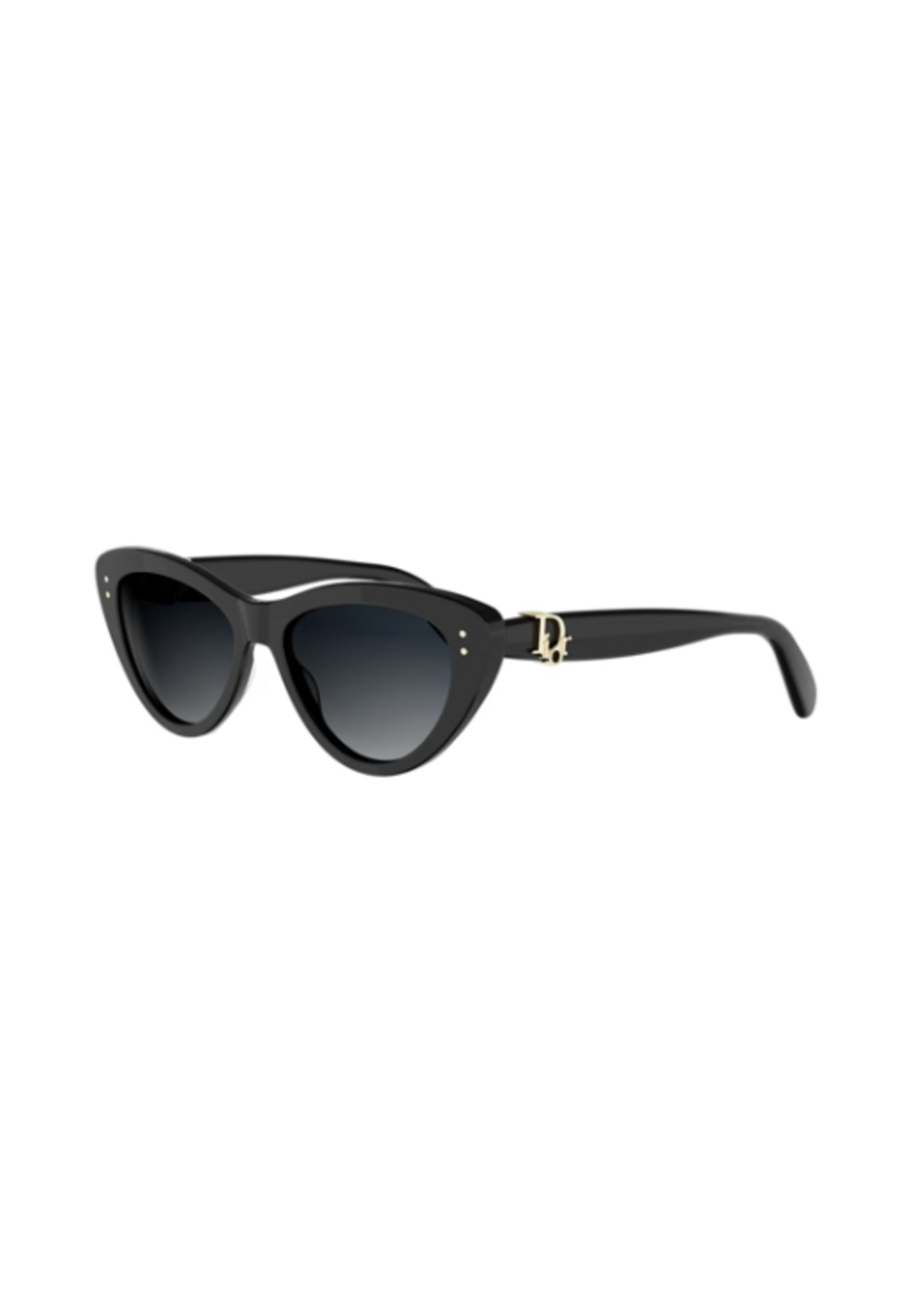 Dior Dior Dior Oblique B2I