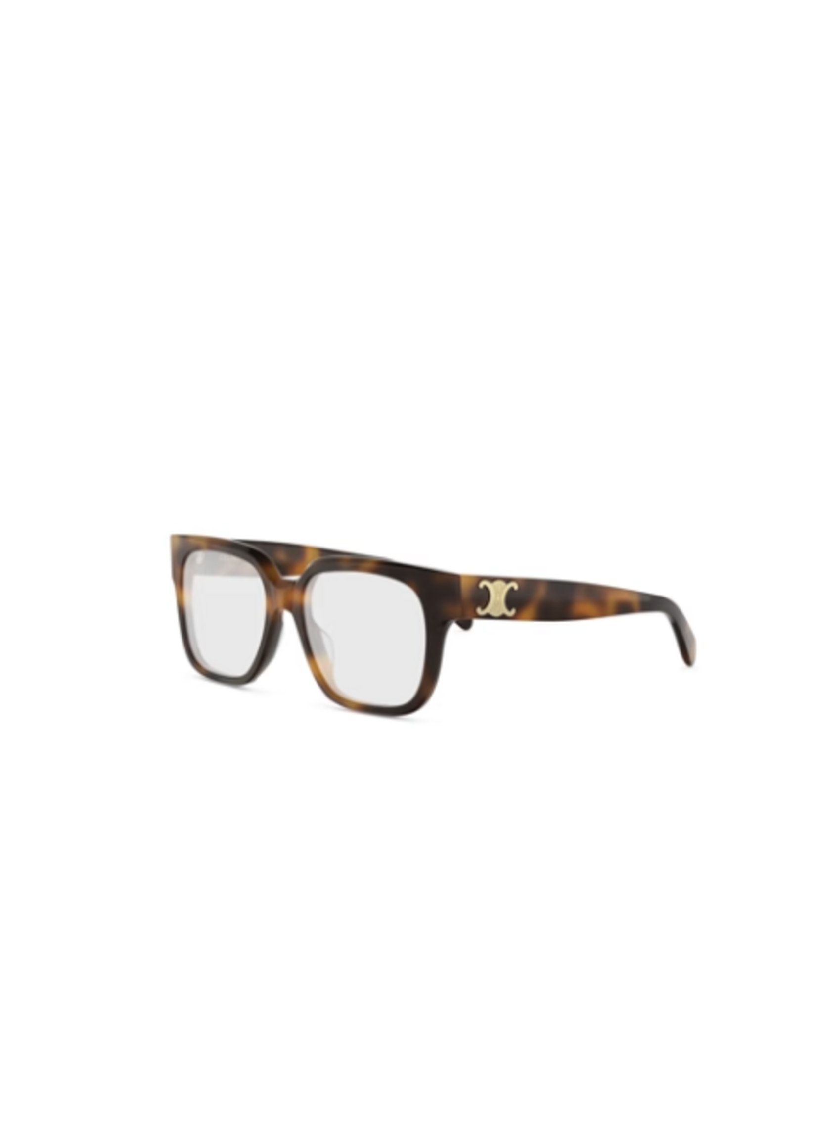 Celine Celine CL50172I