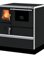 Wood Stove Dominant