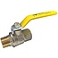 GASBOLKRAAN  MET HENDEL1/2"MF