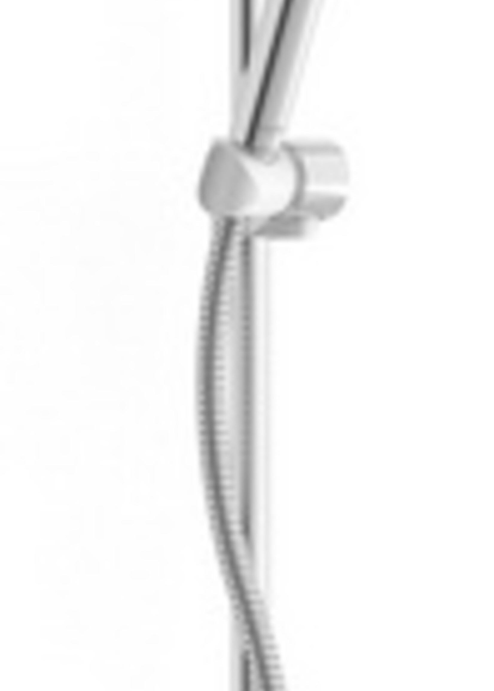 BASICJET SHOWER SET 72 CM ADJUSTABLE 1 JET + SOAP