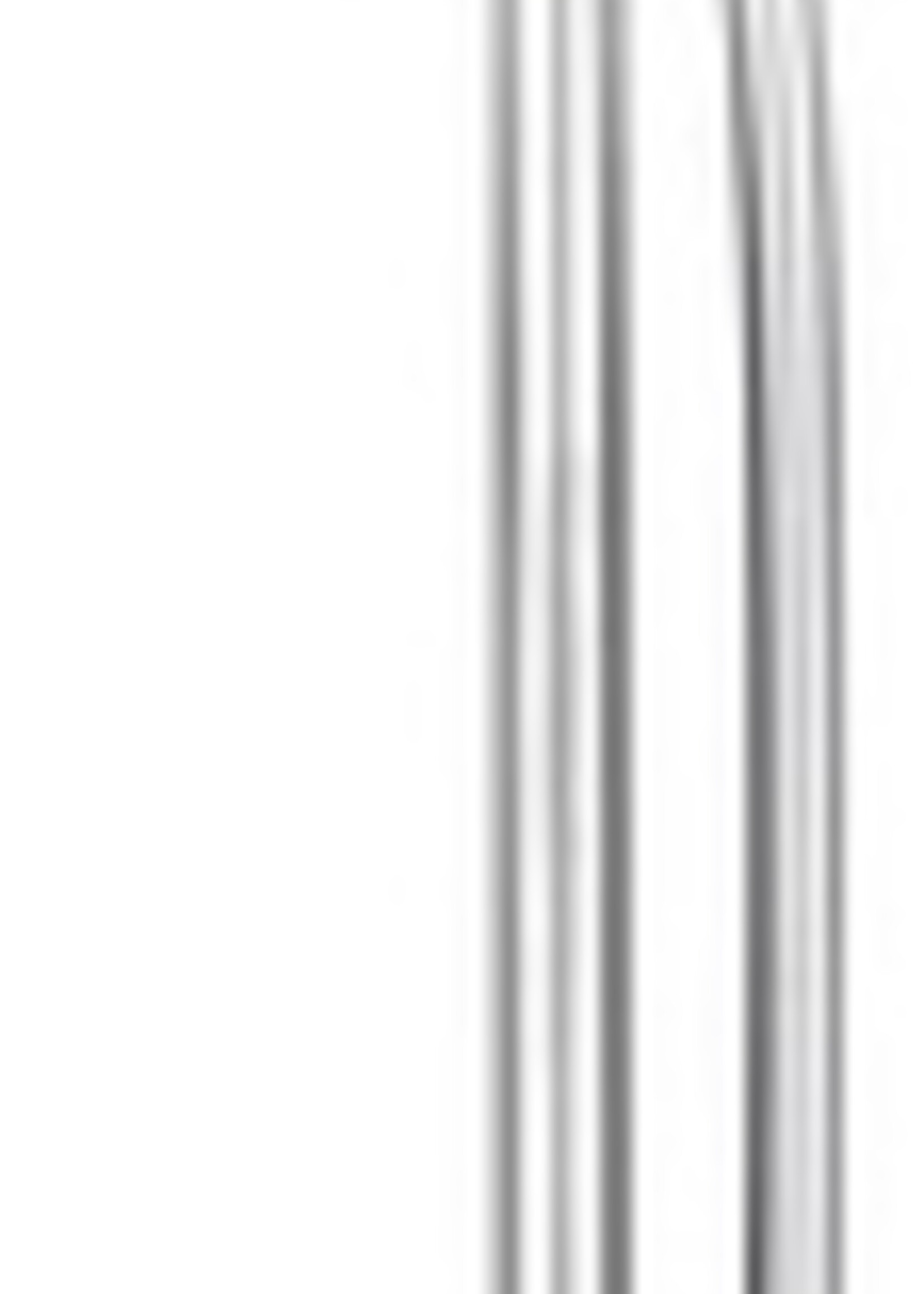 VERONA SHOWER FITTING ROD 900 MM