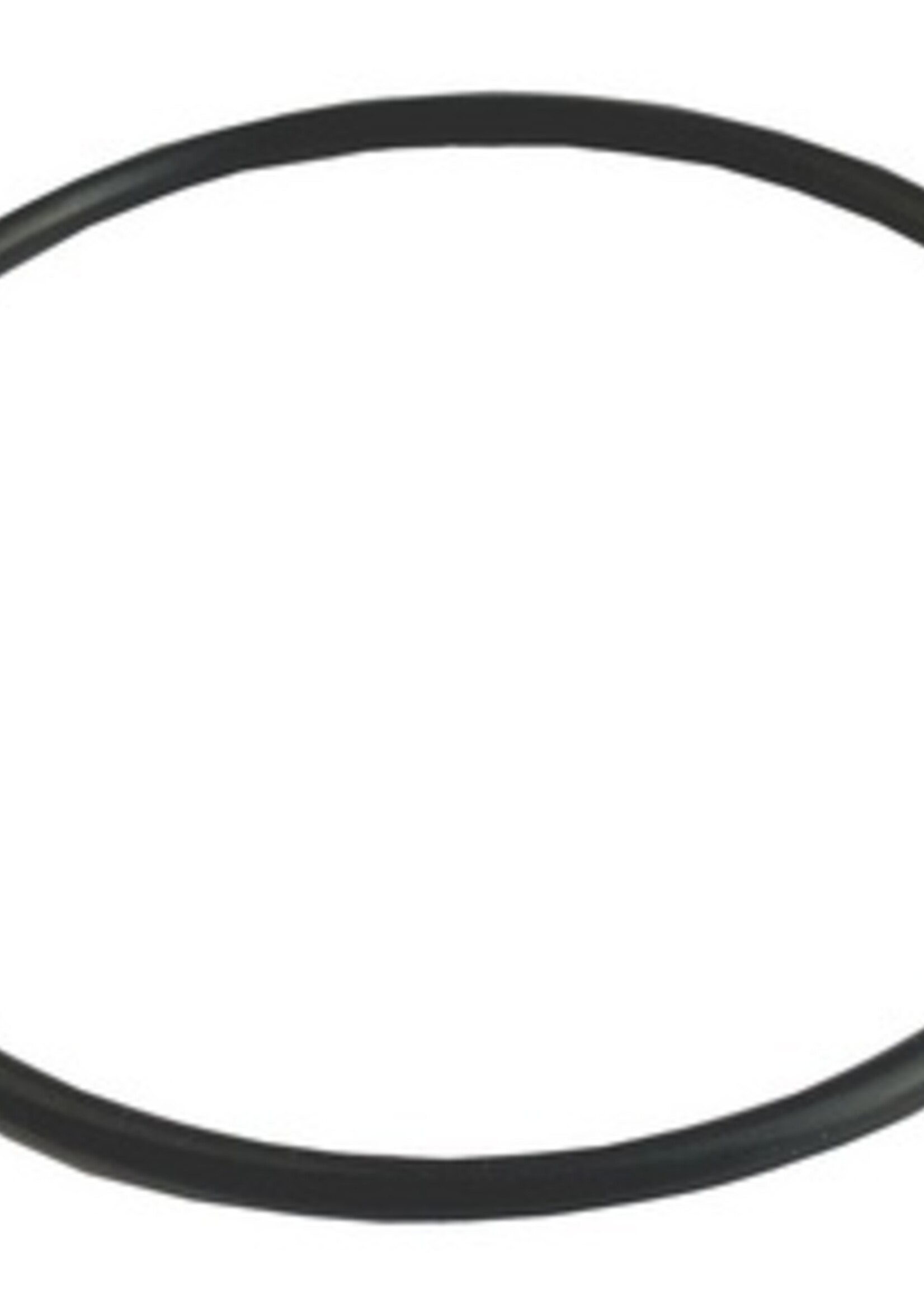 O-RING FOR ATLAS WATER FILTER