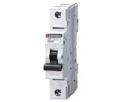 Mitsubishi BHW-T10 1P+N Type D 50A